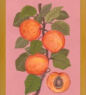 Cuadro Peaches