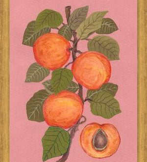 Cuadro Peaches