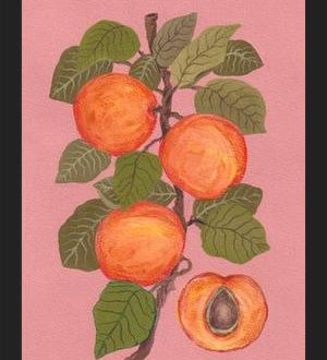 Cuadro Peaches