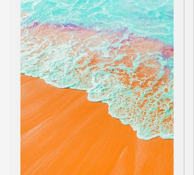 Cuadro Coral Shore
