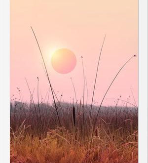 Cuadro Landscape & gradients XII