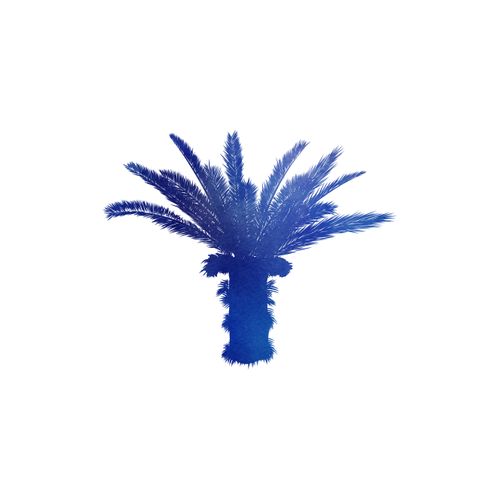 Canvas Blue Palm Tree II