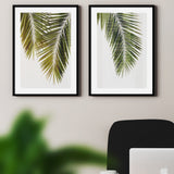 Set de Cuadros Palm Leaf I y II