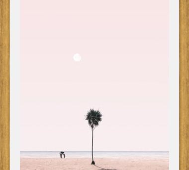 Cuadro La Palmera