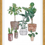 Cuadro Plantas