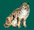 Canvas Tiger Emerald