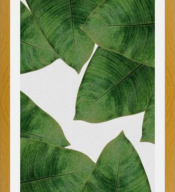 Cuadro Banana Leaf II