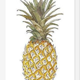 Cuadro PIÑA