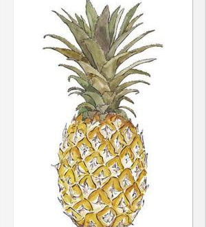 Cuadro PIÑA