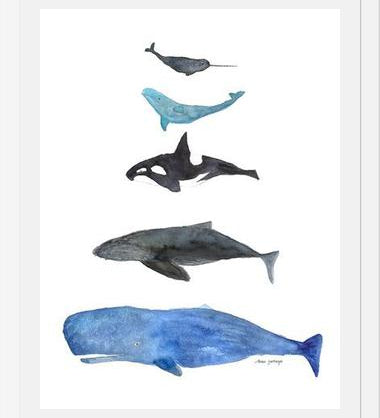 Cuadro Ballenas