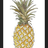 Cuadro PIÑA