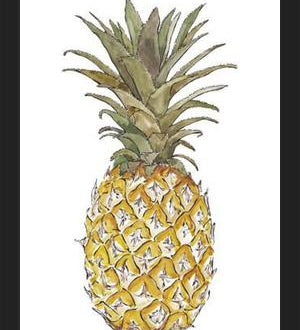 Cuadro PIÑA