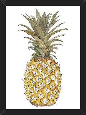 Cuadro PIÑA