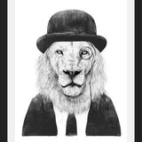 Cuadro Sir Lion