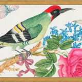 Cuadro Pájaro carpintero