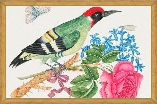 Cuadro Pájaro carpintero