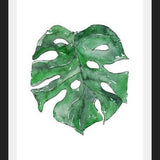 Cuadro Hoja Monstera
