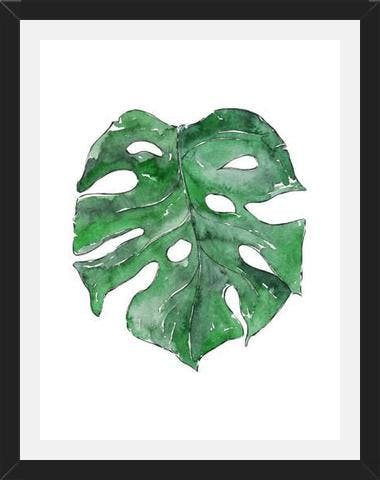 Cuadro Hoja Monstera