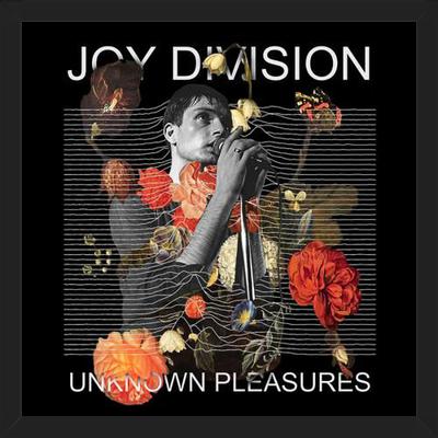Cuadro Joy Division