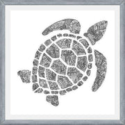 Cuadro Tortuga2