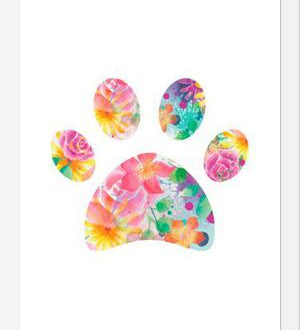 Cuadro Floral Paw