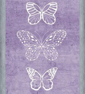 Cuadro Mariposas