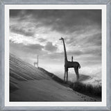 Cuadro Giraffes