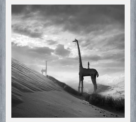 Cuadro Giraffes