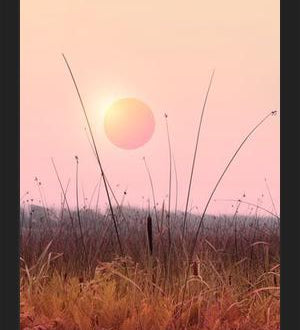 Cuadro Landscape & gradients XII