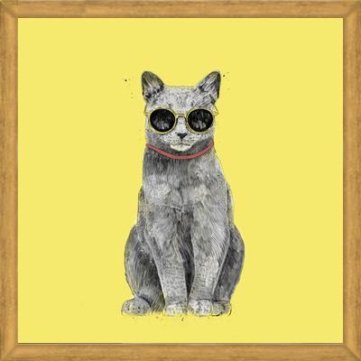 Cuadro Summer Cat