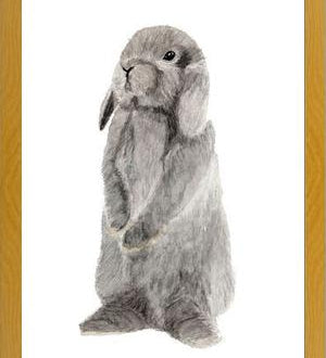 Cuadro conejito gris