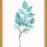 Cuadro Eucalipto 01