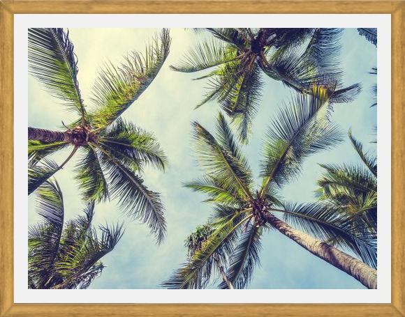 Cuadro Palms In The Sky