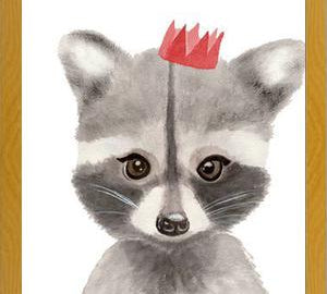 Cuadro Mapache con coronilla