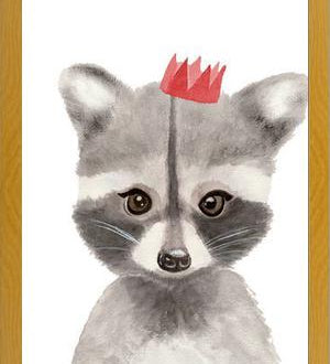 Cuadro Mapache con coronilla