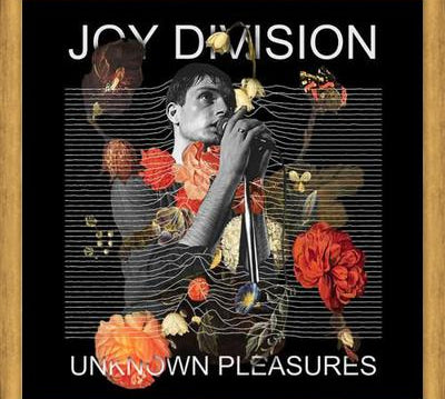 Cuadro Joy Division