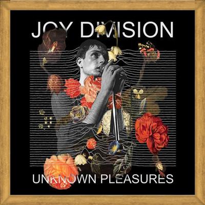 Cuadro Joy Division