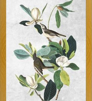 Cuadro Botanical print