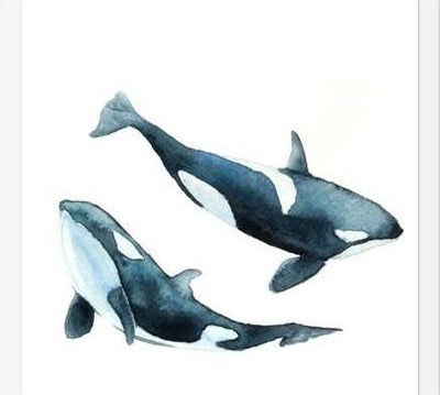 Cuadro Las Orcas