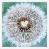 Cuadro Dandy Heart