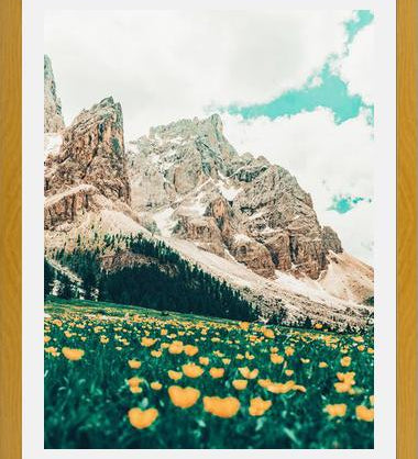 Cuadro Hillside Meadow