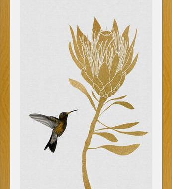 Cuadro Hummingbird and Flower I