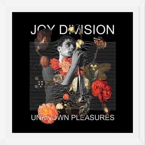 Cuadro Joy Division