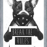 Cuadro Rebel Dog