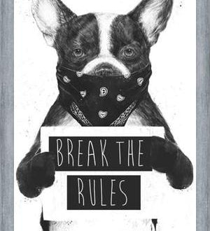 Cuadro Rebel Dog