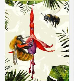 Cuadro Bombus