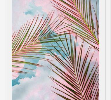 Cuadro Palms + Sky