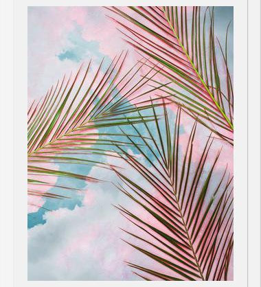Cuadro Palms + Sky