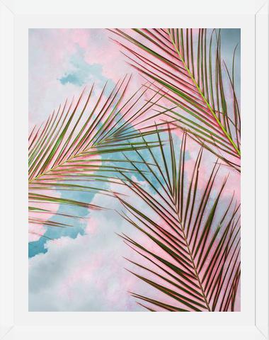 Cuadro Palms + Sky