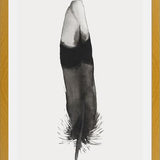 Cuadro Pluma Acuarela 2